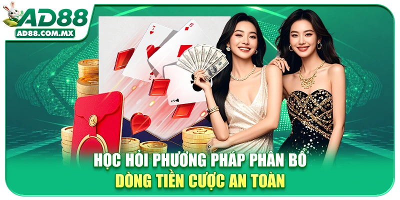 Học hỏi phương pháp phân bổ dòng tiền cược an toàn