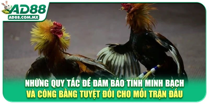 Những quy tắc để đảm bảo tính minh bạch và công bằng tuyệt đối cho mỗi trận đấu